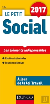 Le Petit Social 2017 ; Les Points Clés En 21 Fiches (12e Édition)