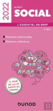 Le Petit Social 2022 - L'Essentiel En Bref