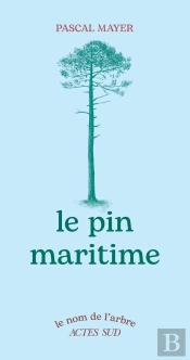 Le Pin Maritime