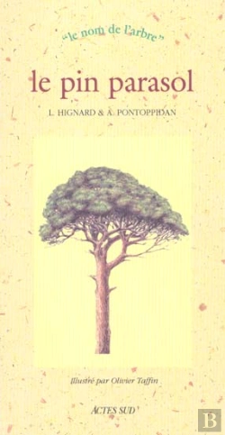 Bertrand.pt - Le Pin Parasol