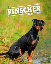 Le Pinscher