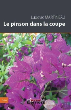 Bertrand.pt - Le Pinson Dans La Coupe