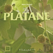 Le Platane