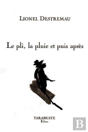 Le Pli, La Pluie Et Puis Apres - Lionel Destremeau