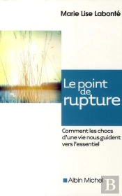 Le Point De Rupture ; Comment Les Chocs D'Une Vie Nous Guident Vers L'Essentiel
