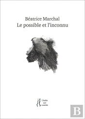 Le Possible Et L'Inconnu