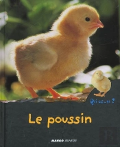 Le Poussin