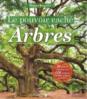 Le Pouvoir Caché Des Arbres : 40 Arbres À Découvrir, 120 Ateliers Famille À Faire En Forêt