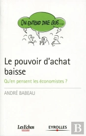 Le Pouvoir D'Achat En Baisse - Qu'En Pensent Les Economistes?