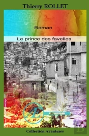 Le Prince Des Favelles