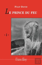 Le Prince Du Feu