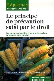 Le Principe De Précaution Saisi Par Le Droit