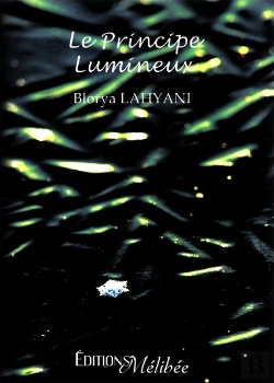 Bertrand.pt - Le Principe Lumineux