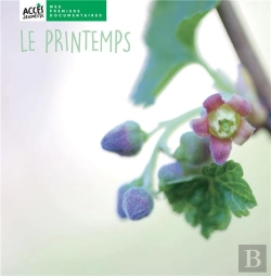 Bertrand.pt - Le Printemps