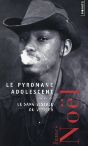 Le Pyromane Adolescent ; Le Sang Visible Du Vitrier
