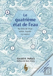 Le Quatrième État De L'Eau ; Au-Delà De Liquide, Solide Et Vapeur