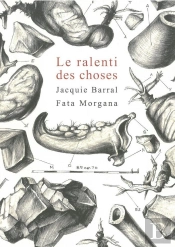 Le Ralenti Des Choses