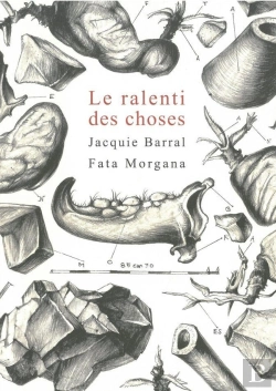 Bertrand.pt - Le Ralenti Des Choses
