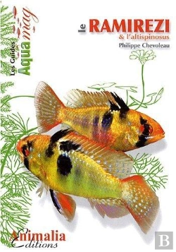 Bertrand.pt - Le Ramirezi & L'Altispinosus