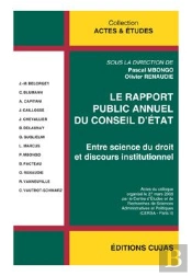 Le Rapport Annuel Du Conseil D'Etat ; Entre Science Du Droit Et Discours Institutionnel
