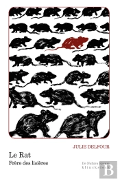 Le Rat : Frère Des Lisières