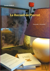 Le Recueil De Pierrot : Nouvelles 'Zinzolines'