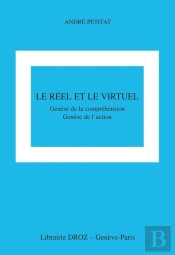 Le Réel Et Le Virtuel