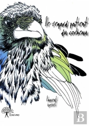 Le Regard Patient Du Corbeau