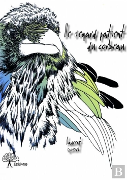 Bertrand.pt - Le Regard Patient Du Corbeau