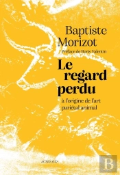 Le Regard Perdu : A L'Origine De L'Art Pariétal Animal