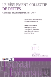 Le Règlement Collectif De Dettes ; Chronique De Jurisprudence 2011-2017