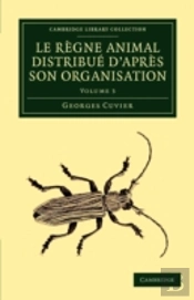 Le Regne Animal Distribue D'Apres Son Organisation