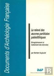 Le Relevé Des Oeuvres Pariétales Paléolithiques : Enregistrement Et Traitement Des Données