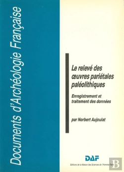 Bertrand.pt - Le Relevé Des Oeuvres Pariétales Paléolithiques : Enregistrement Et Traitement Des Données