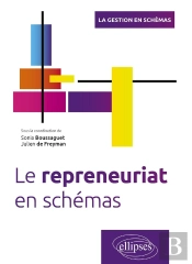 Le Repreneuriat En Schémas : Transmission Et Reprise D'Entreprise