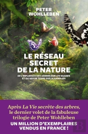 Le Réseau Secret De La Nature ; De L'Influence Des Arbres Sur Les Nuages Et Du Ver De Terre Sur Le Sanglier