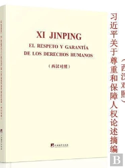 Bertrand.pt - Le Respect Et La Protection Des Droits De L'Homme (Espagnol - Chinois) - Edition Bilingue