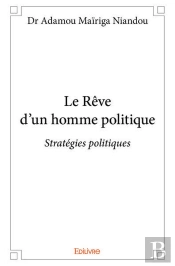 Le Reve D'Un Homme Politique - Strategies Politiques