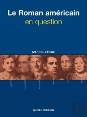 Le Roman Americain En Question