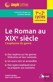 Le Roman Au Xixe Siècle ; L'Explosion Du Genre