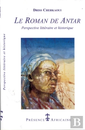 Le Roman De Antar ; Perspective Litteraire Et Historique