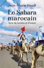 Le Sahara Marocain : Terre De Lumière Et D'Avenir