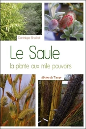 Le Saule ; La Plante Aux Mille Pouvoirs
