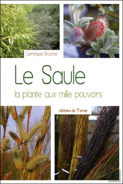 Bertrand.pt - Le Saule ; La Plante Aux Mille Pouvoirs