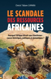 Le Scandale Des Ressources Africaines : Pourquoi L'Afrique Extrait Sans Transformer Causes Historiques Politiques Économiques ?