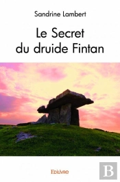 Le Secret Du Druide Fintan