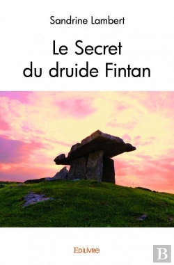 Bertrand.pt - Le Secret Du Druide Fintan