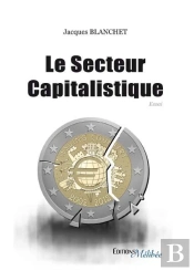 Le Secteur Capitalistique