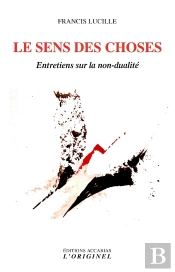Le Sens Des Choses : Entretiens Sur La Non-Dualité