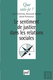 Le Sentiment De Justice Dans Les Relations Sociales